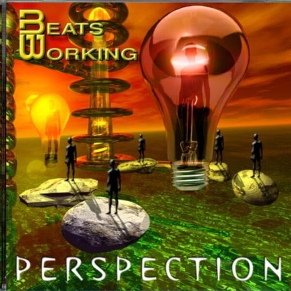 Cover art for Perspection